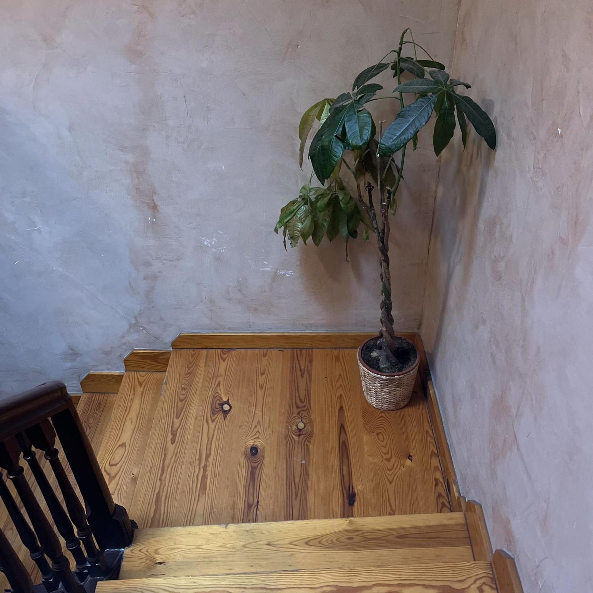 Apartament Calera 2 Burgo